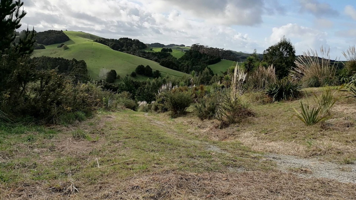 Te Arai Apartment | The cabins 2 with 50 acres of private bush