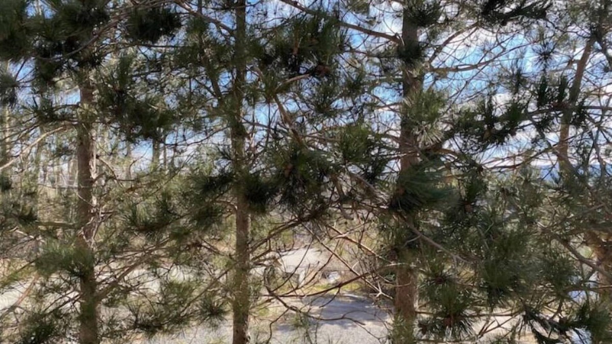 Inverness House | The Ceilidh Corner