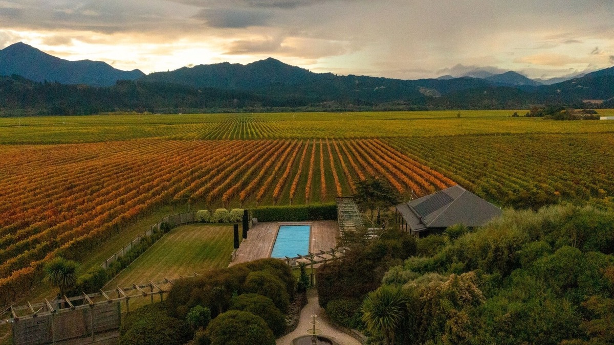Renwick House | The Cellar Door - Blenheim Holiday Home