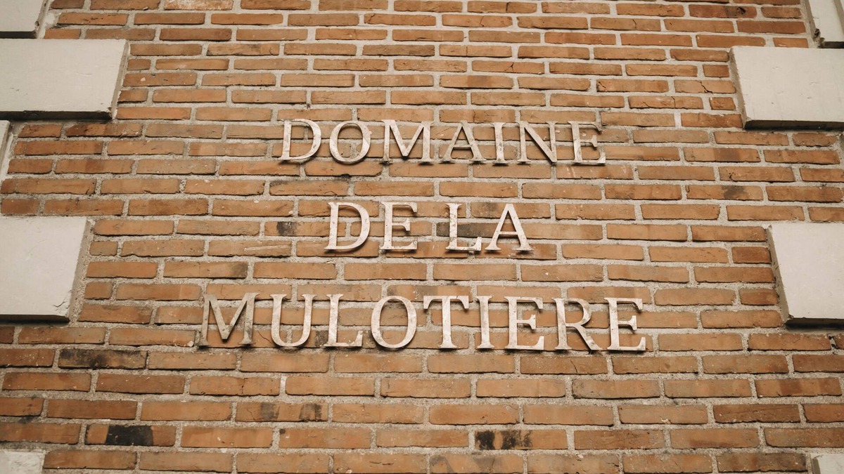 Langeais Other | The Château and its Orangery