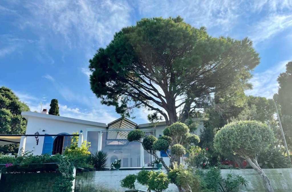 Province of Messina Villa | The cliff house
