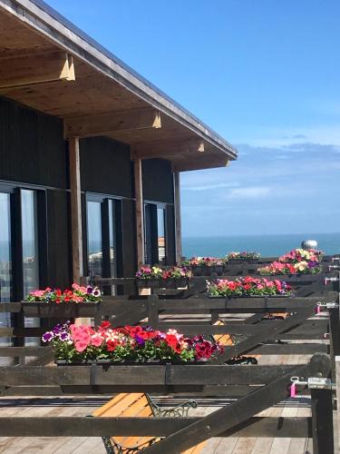 Papatotara Cabin | The Cliffs Seaside Lodge