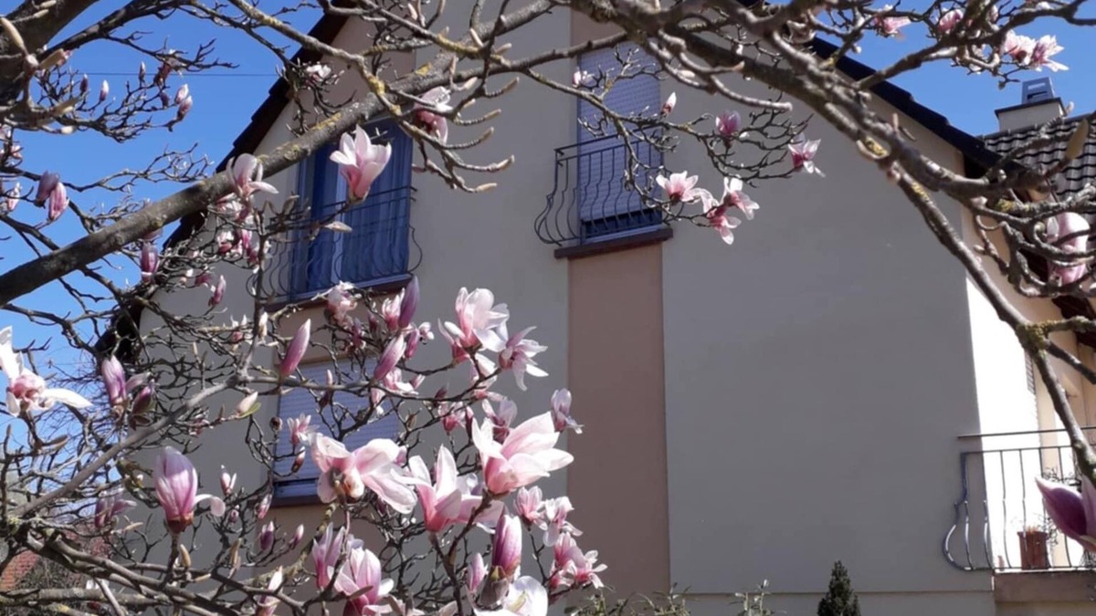 Holtzwihr Villa | The Closerie du Ried