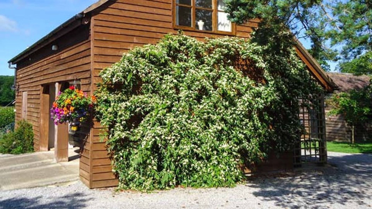 Newent House | THE COACH HOUSE, romantic in Newent