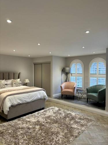 Lisburn House | The Colonel