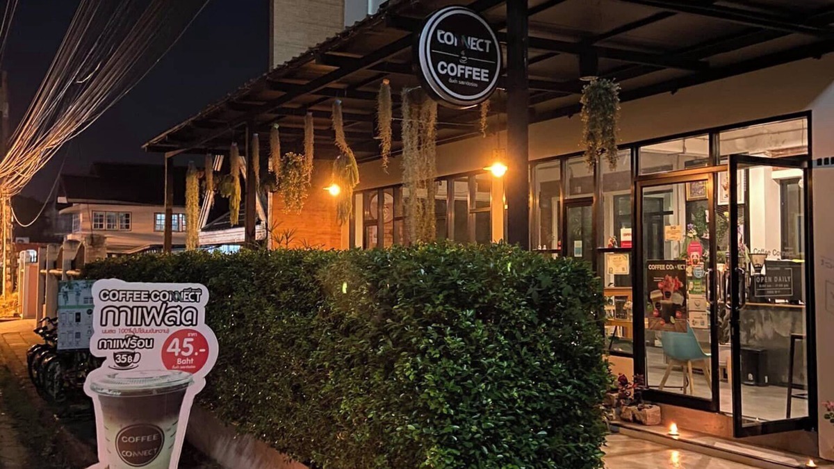 Pa Daet House | The Connect Chiang Mai