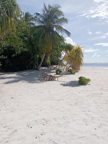 Goidhoo House | The Corbin
