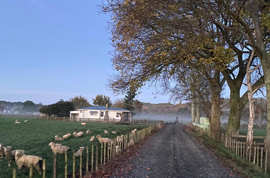 Frasertown House | The Cottage @ Aranui