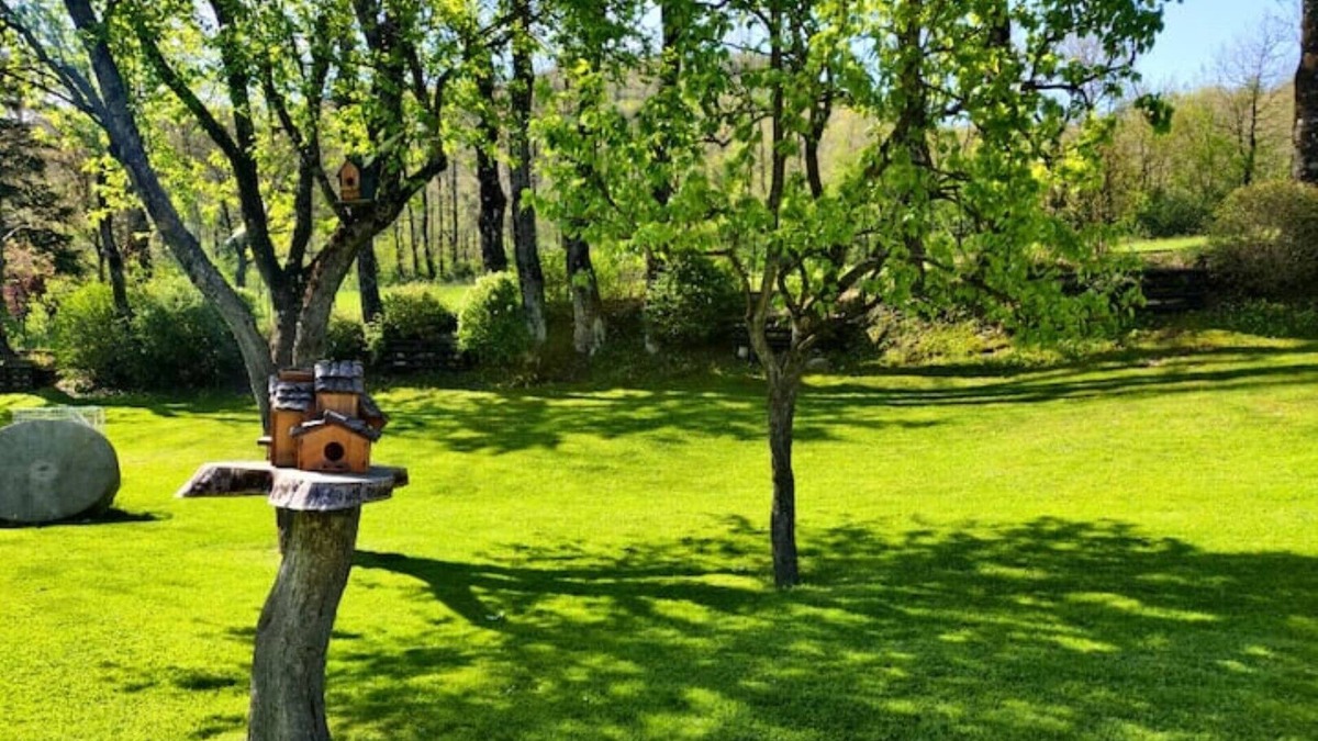 Ventasso Cottage | The Cottage