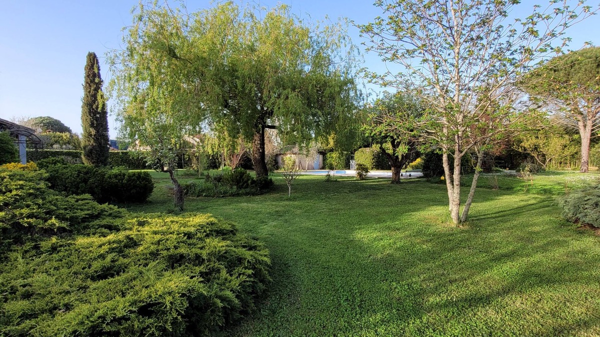 Gaillac House | The countryside in the city center, swimming pool, large garden, quiet.