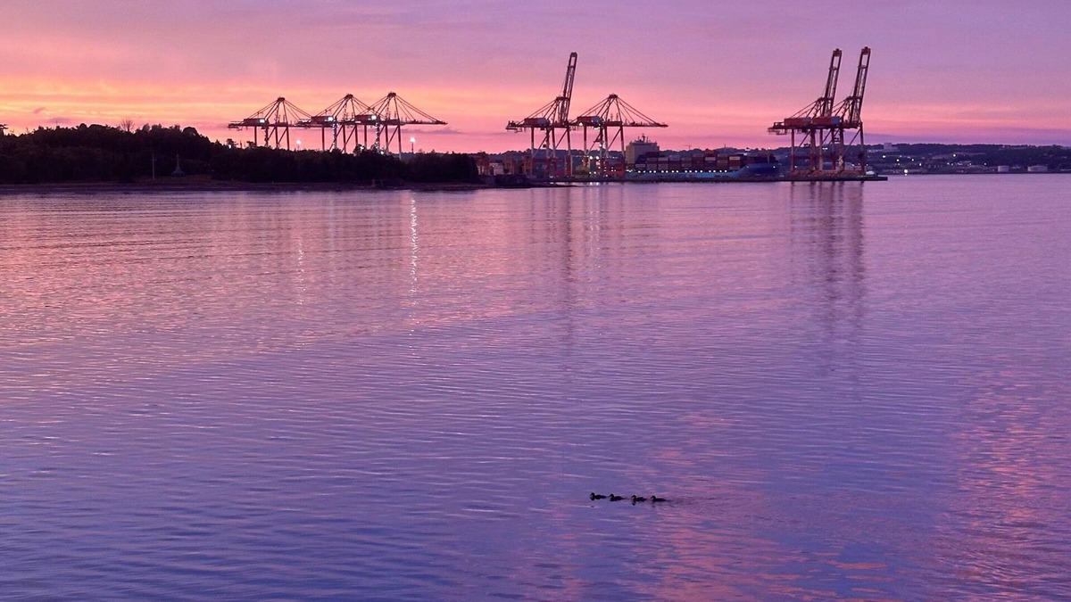 Halifax House | The Cove House: funky, oceanfront home with private rocky beach