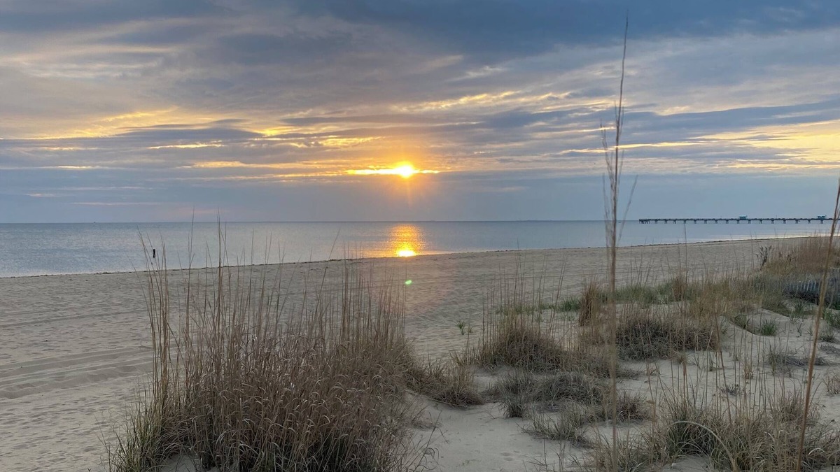 Norfolk Apartment | The Crab Pad Beachfront - kayaks - BBQ