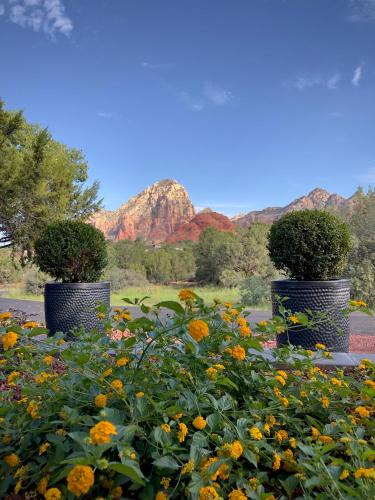 West Sedona House | The Dahl House Of Sedona