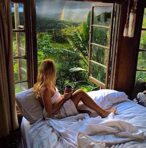 Middle Pocket House | The Den of the Treehouse