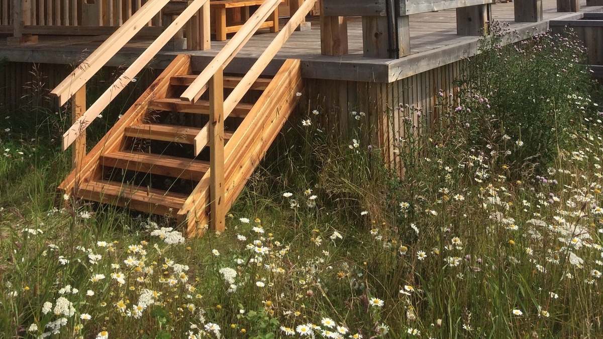 Moricetown Cabin | The Dutch Treat - L.D.R.