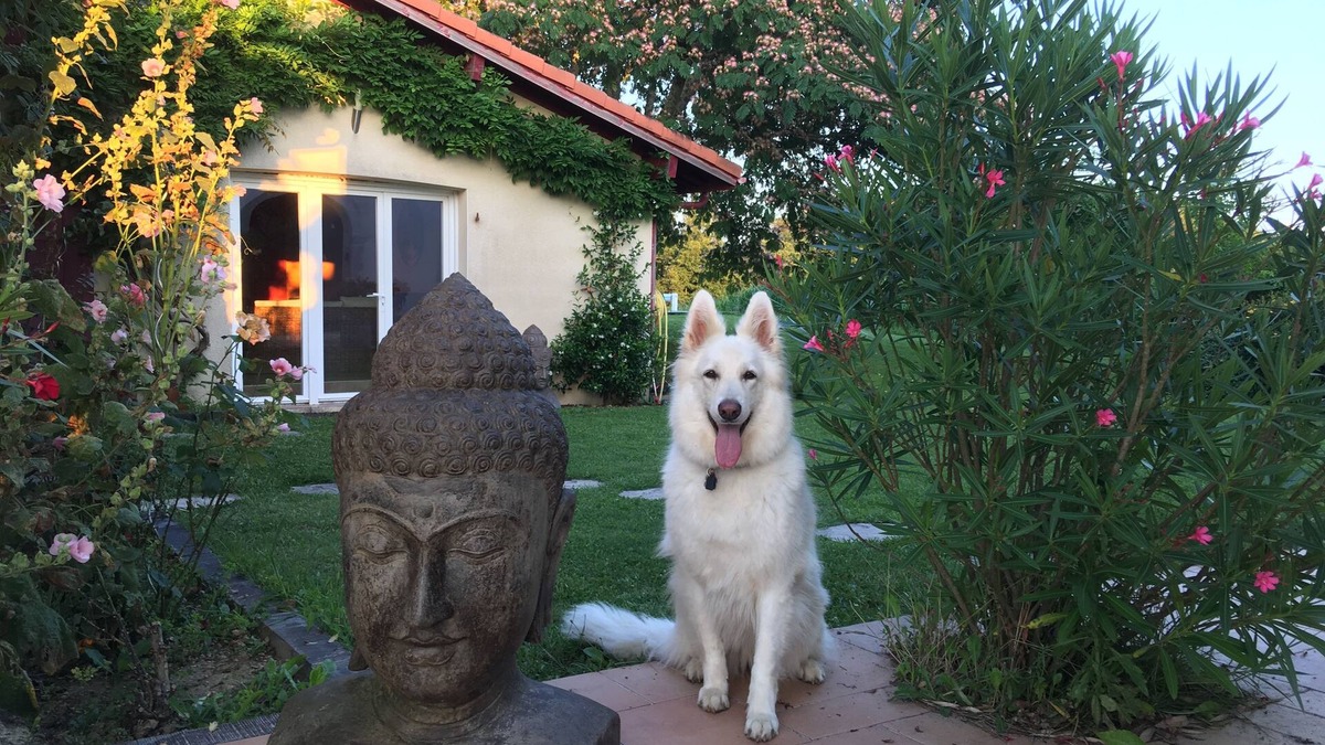 Cagnotte House | The Farm Buddhas, near Dax, 40mn Seignosse/Bayonne, sleeps 4-6
