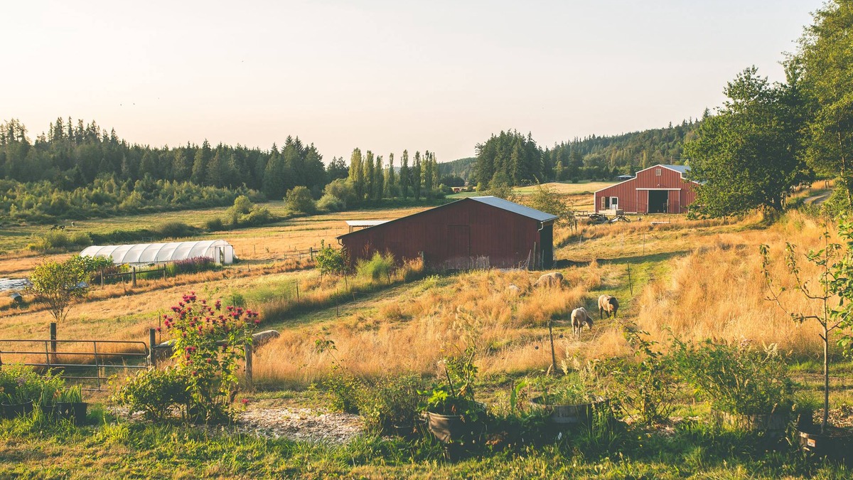 Port Ludlow Other | The Farmhouse Suite near Port Townsend, WA