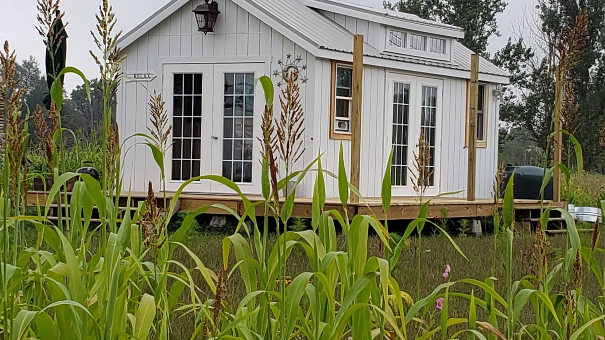 Hastings Cottage | The Firefly stargazer, garden studio. View the night sky from your bed.