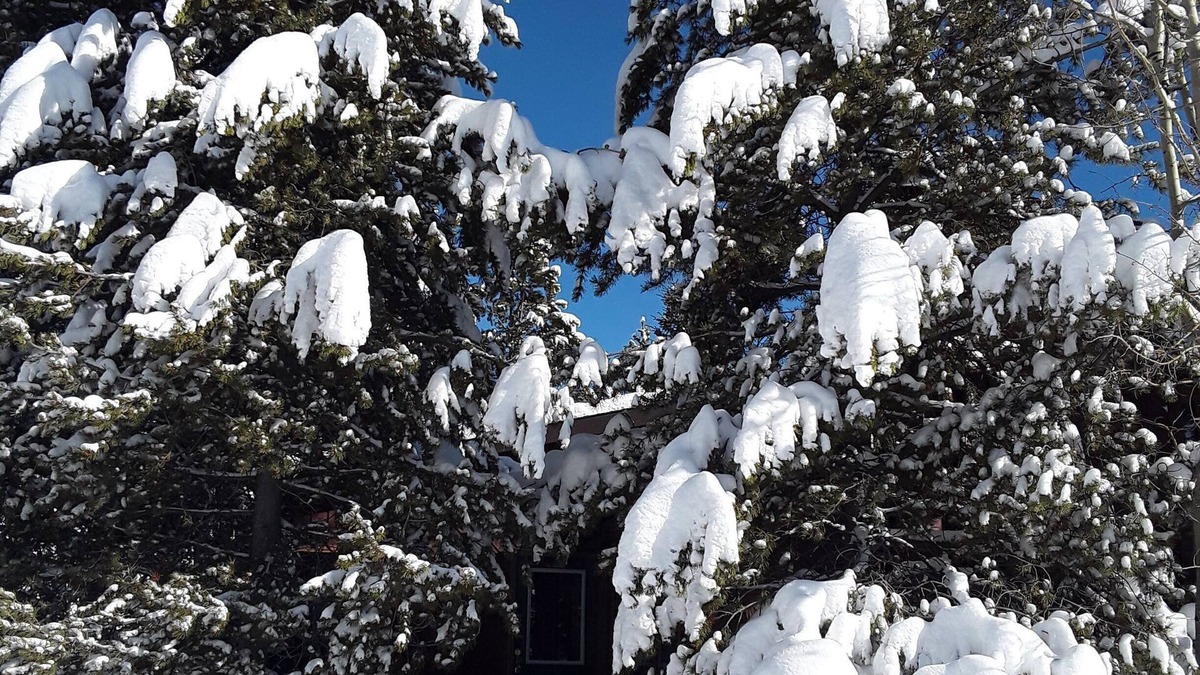 West Yellowstone House | The Firehole Cabin 418: Where Yellowstone Grandeur Meets Unrivaled Comfort