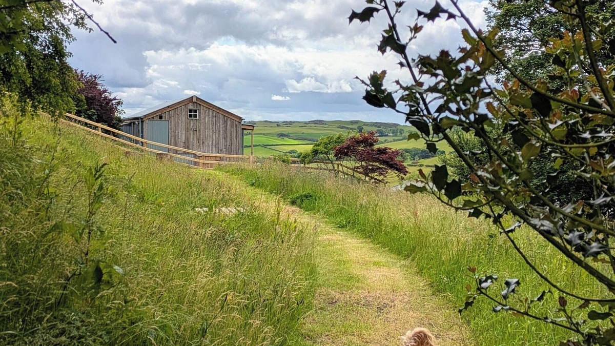 Trofarth Cabin | The Fold - Unique Cabin Nestled in Nature