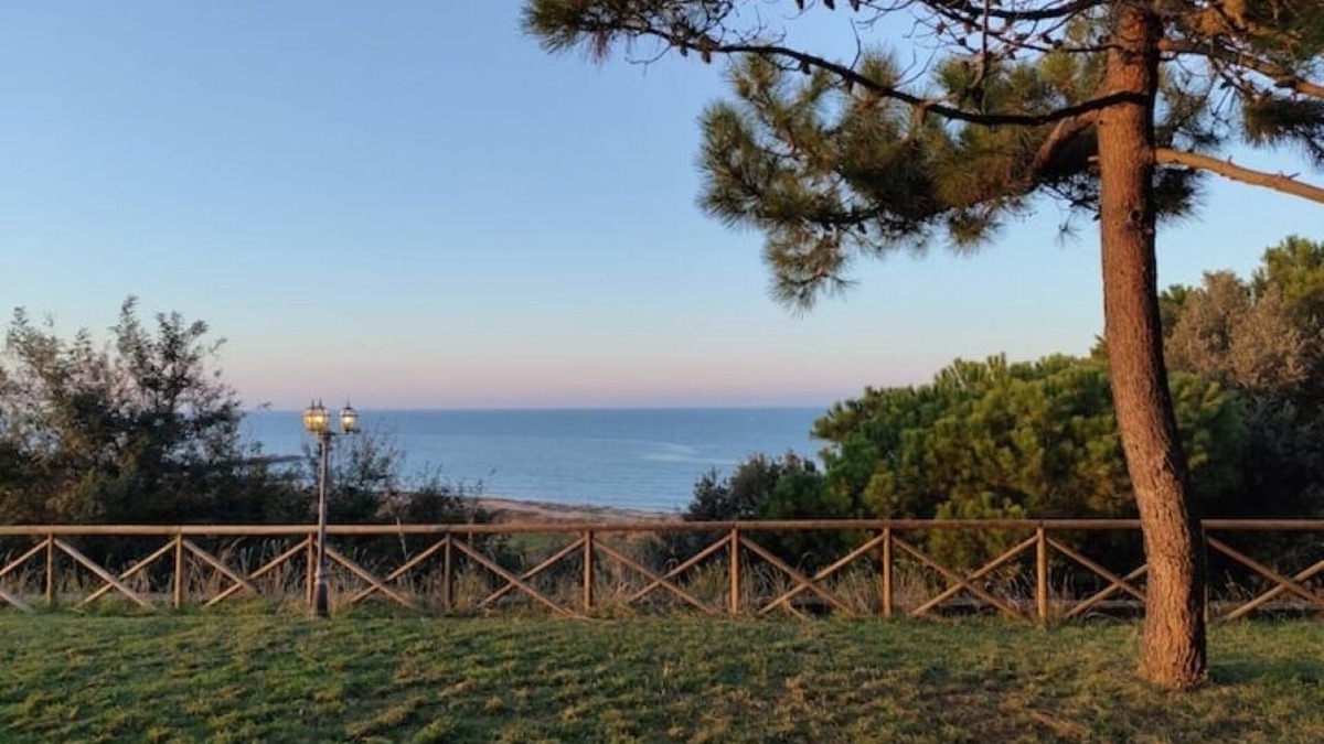Vasto Villa | The Fox In The Pine Forest