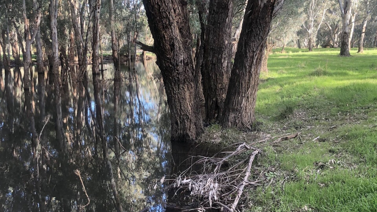 East Wangaratta House | The Glenn on Ovens River