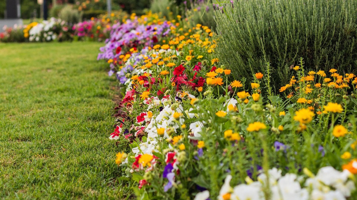 Tenterfield Hotel | The Golfers Inn