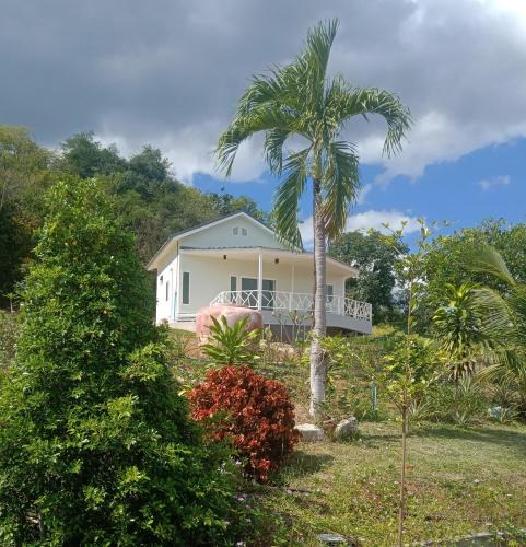 Nong Phai House | The Green Vale B&B