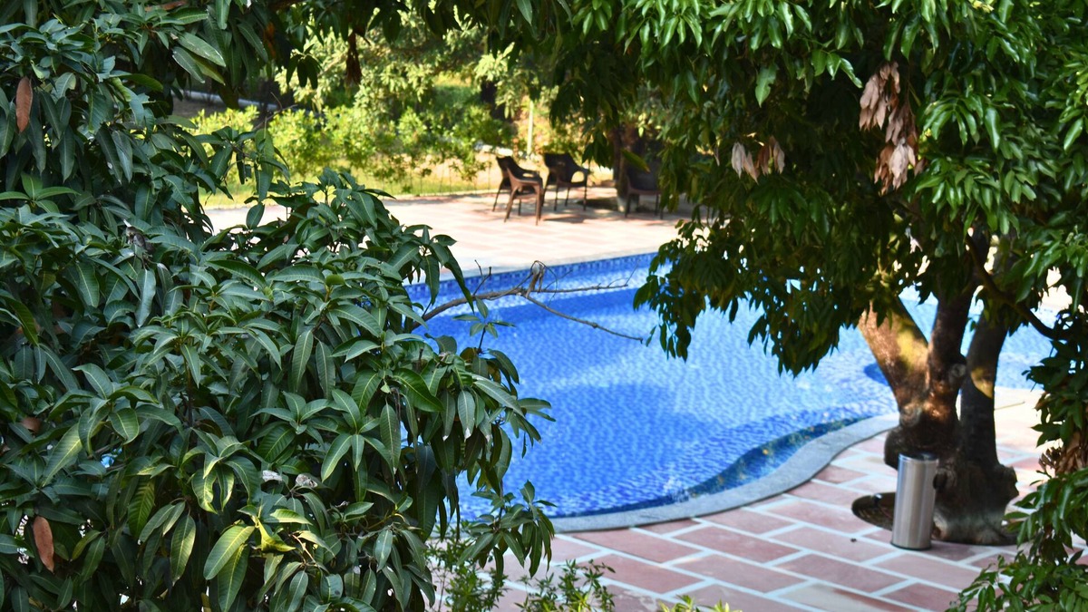 Ramnagar Resort | The Greenwich Resort