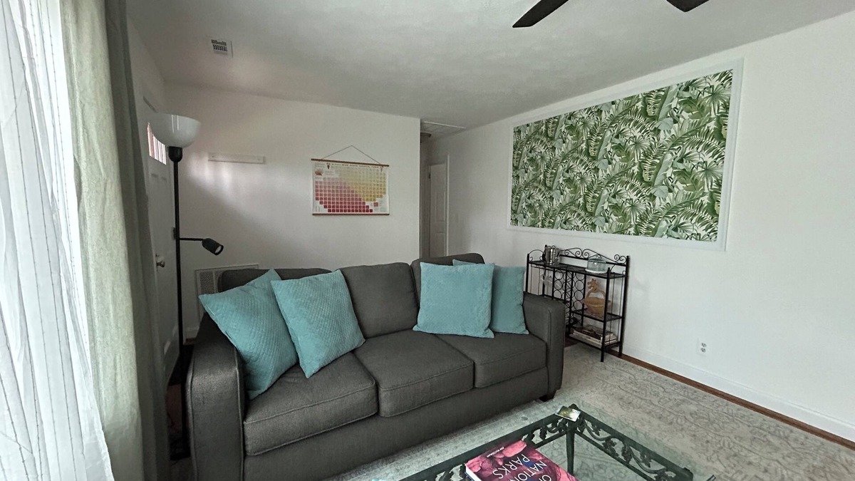 Jefferson Park Avenue House | The Grove: Comfy living in Cville Brand New!