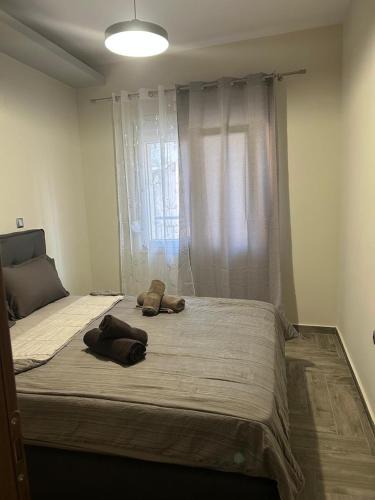 Kilkis Apartment | The harmony of the center