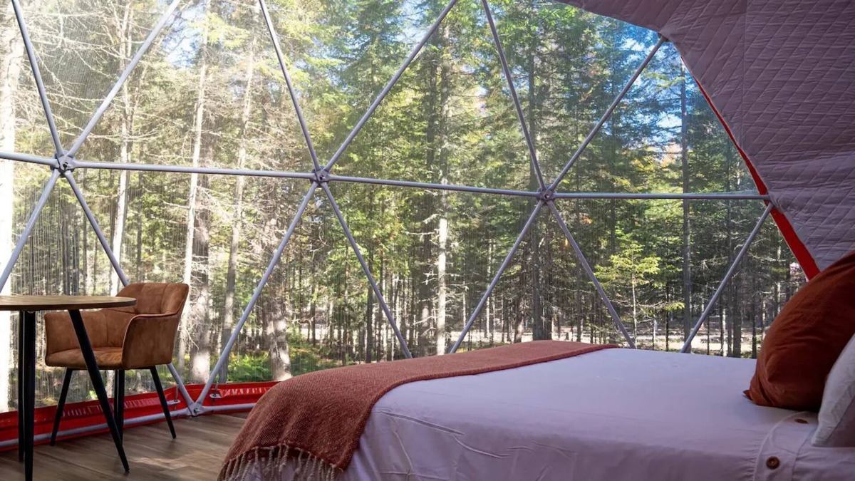 Queens County Cabin | The Harvest