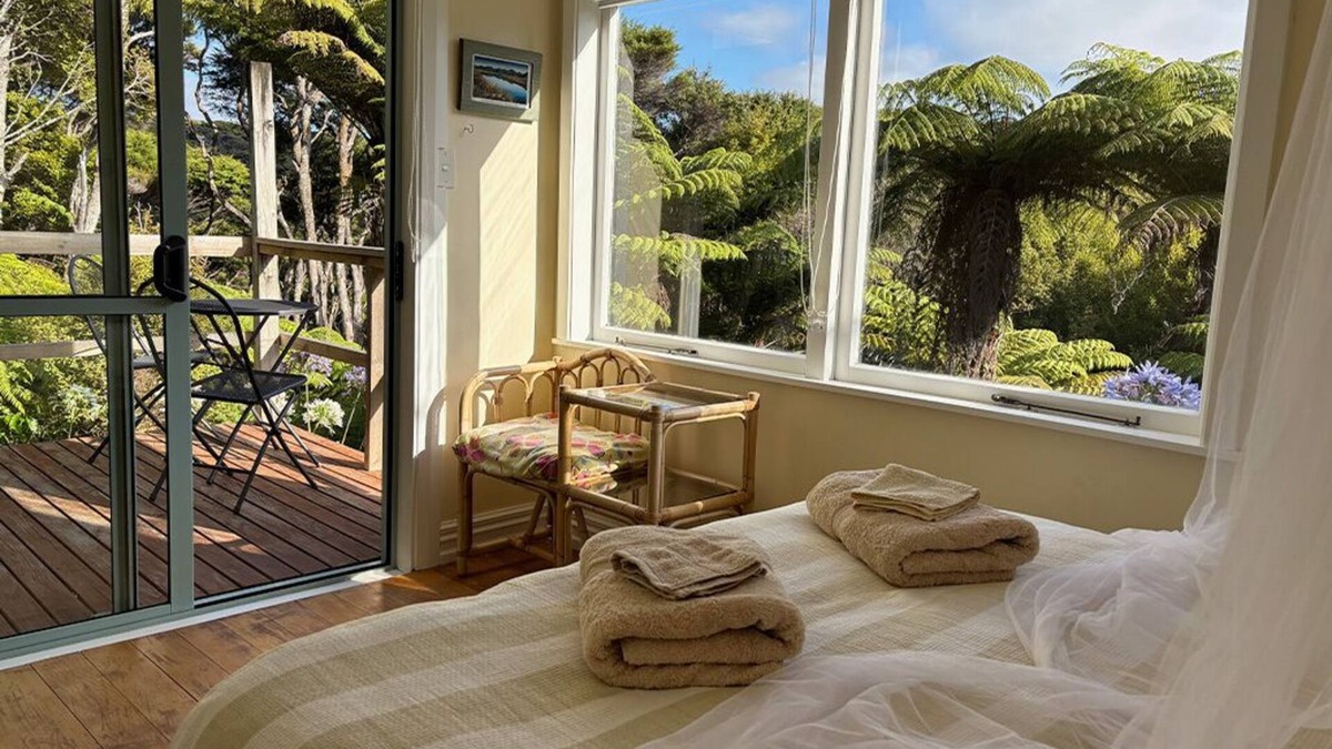 Tryphena Apartment | The Hidden House - A quiet studio space set amongst 73 acres of native forest.