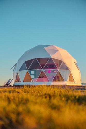 Willcox Other | The Hive