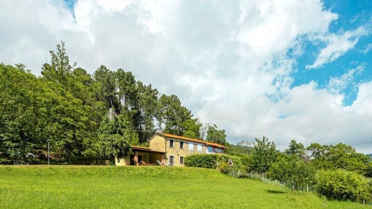 Montignoso House | the house in the woods! suitable for families