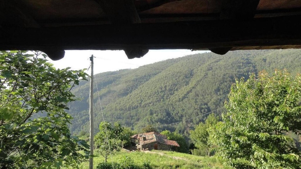 Lousa Cottage | The House of Books