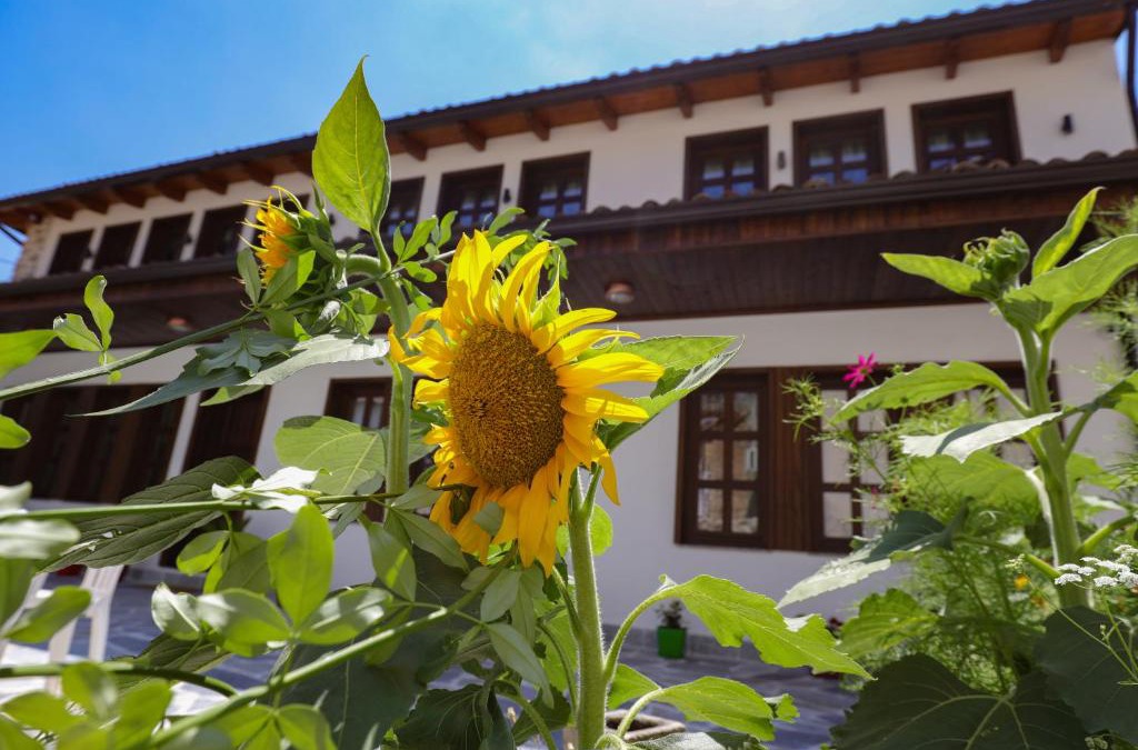 Kruje House | The House of Dollma , Inside Kruja Castle