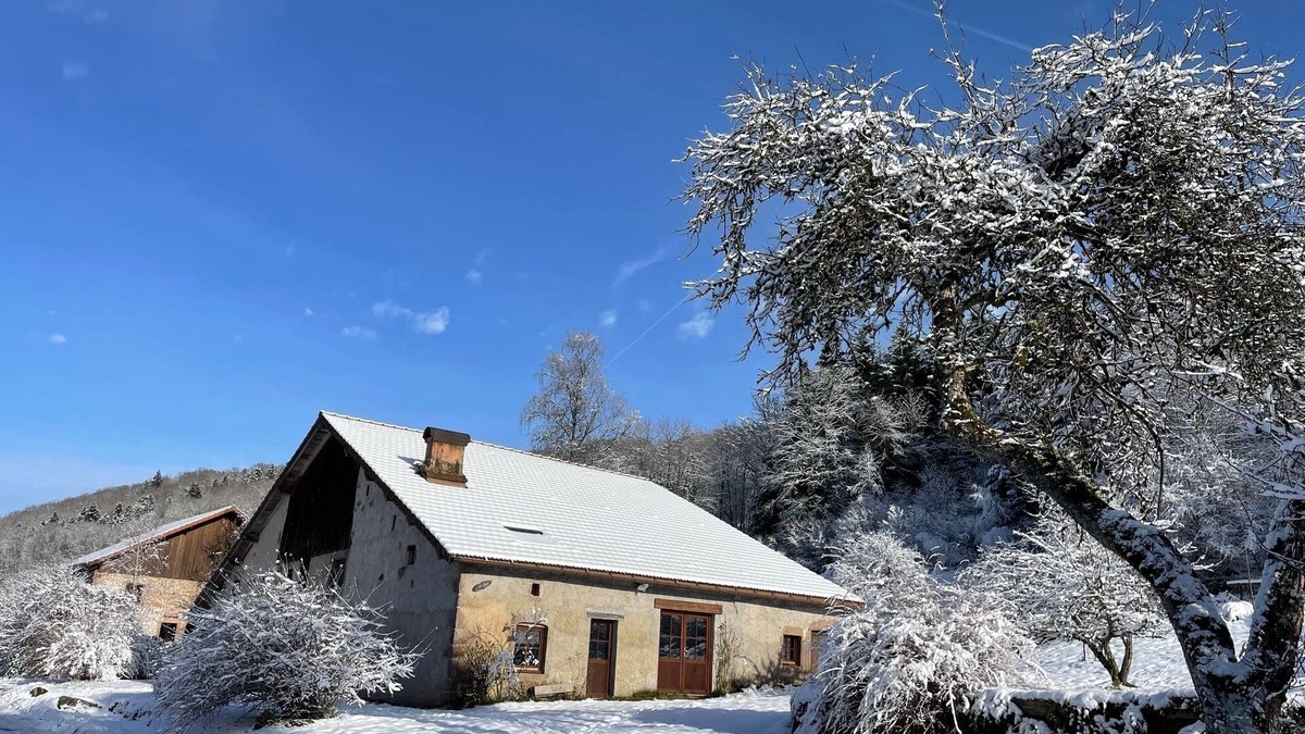 Tendon House | The Hut, in the middle of the woods, not far from the waterfalls