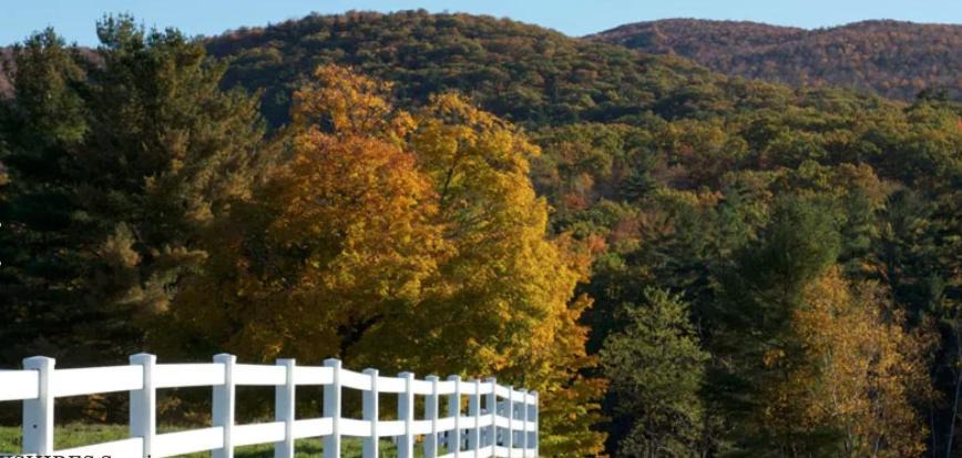 Richmond Hotel | The Inn at Richmond