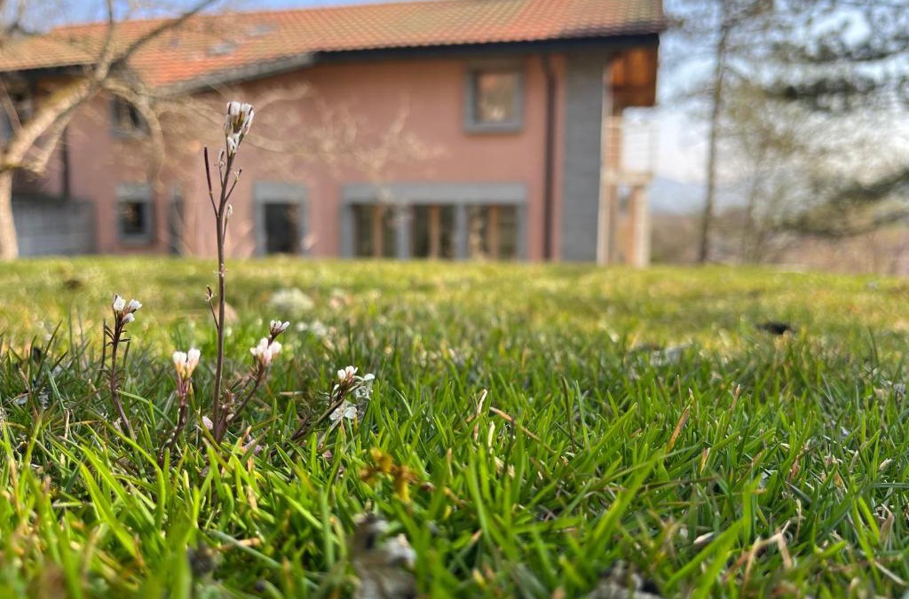 Cormoret Bed & Breakfast | the Jad B&B