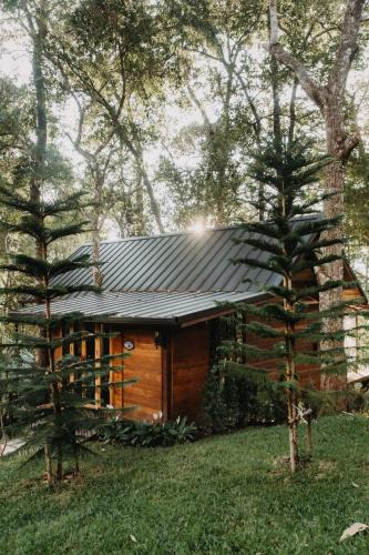 Doi Saket Resort | The Jungle Touch