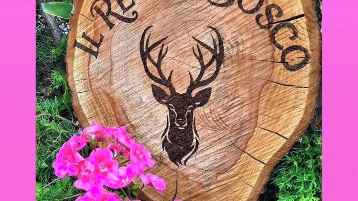 Ormea Apartment | THE KING OF THE WOODS