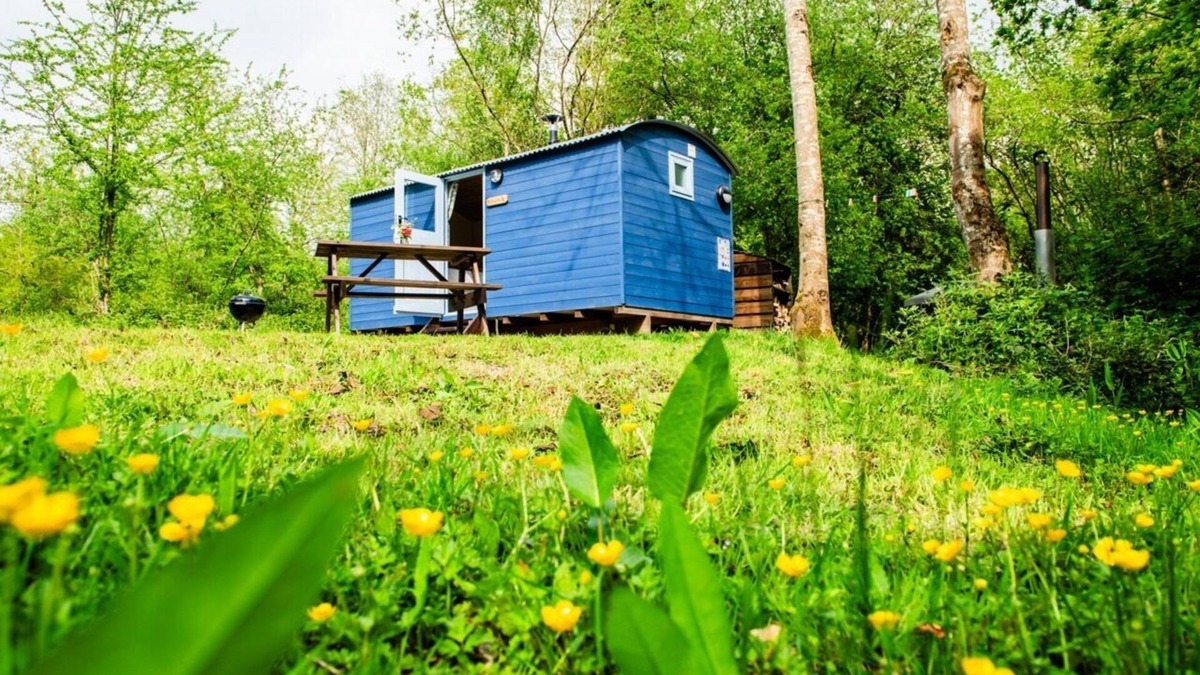Acton Scott Cabin | The Kingfisher Shepherd's Hut