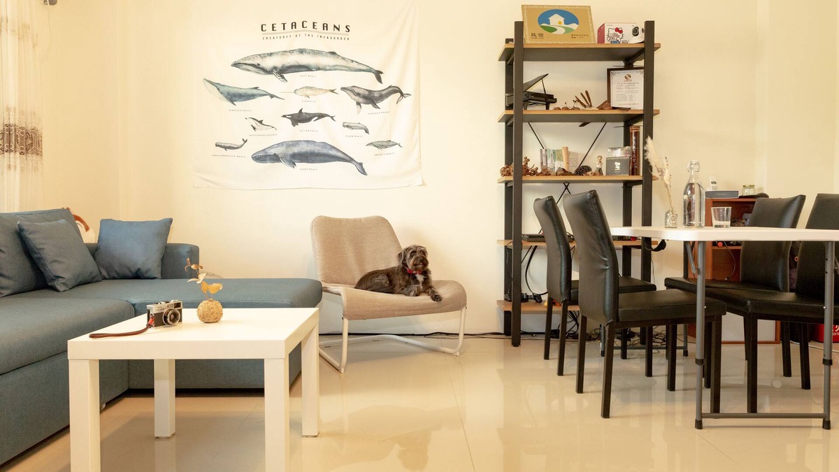 Taitung House | The Kite