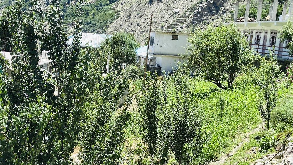 Morang Hotel | The Kuber Hotel & Restaurant