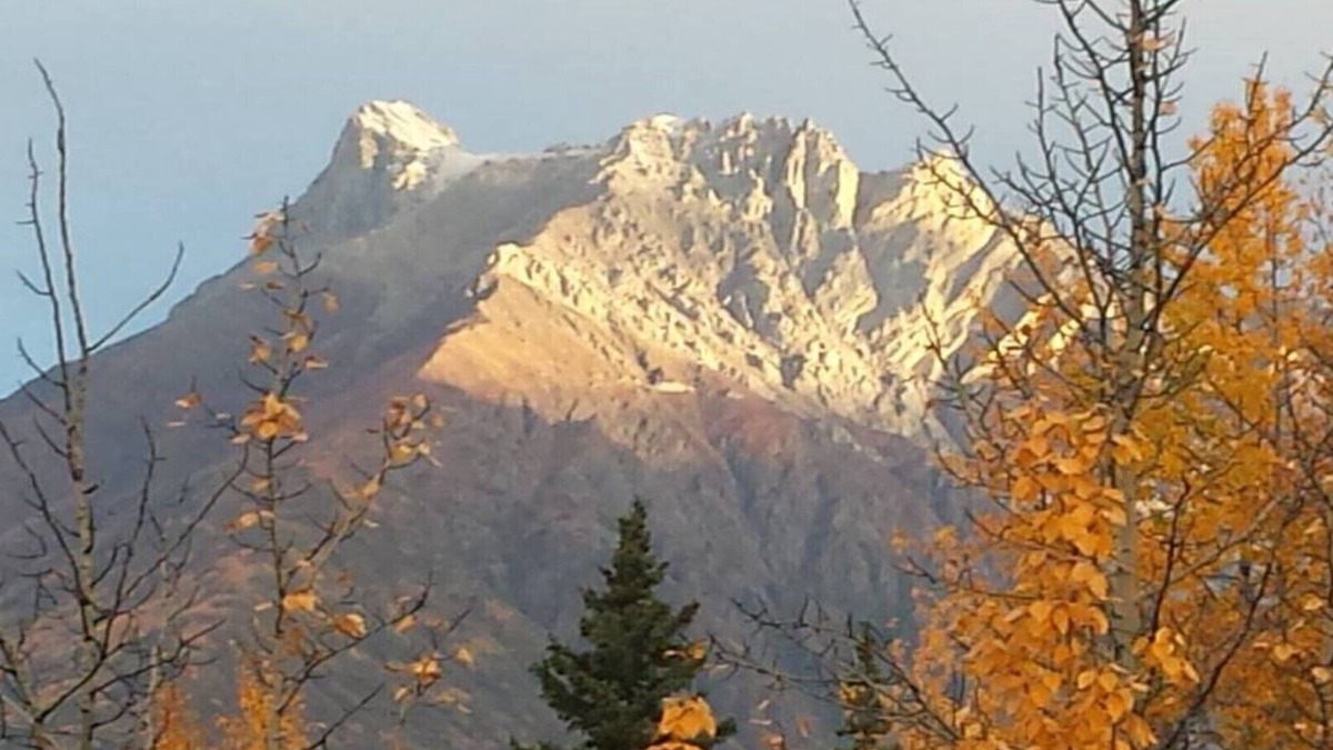 McCarthy House | The Kuskulana at Currant Ridge - Deluxe Private Lodging!