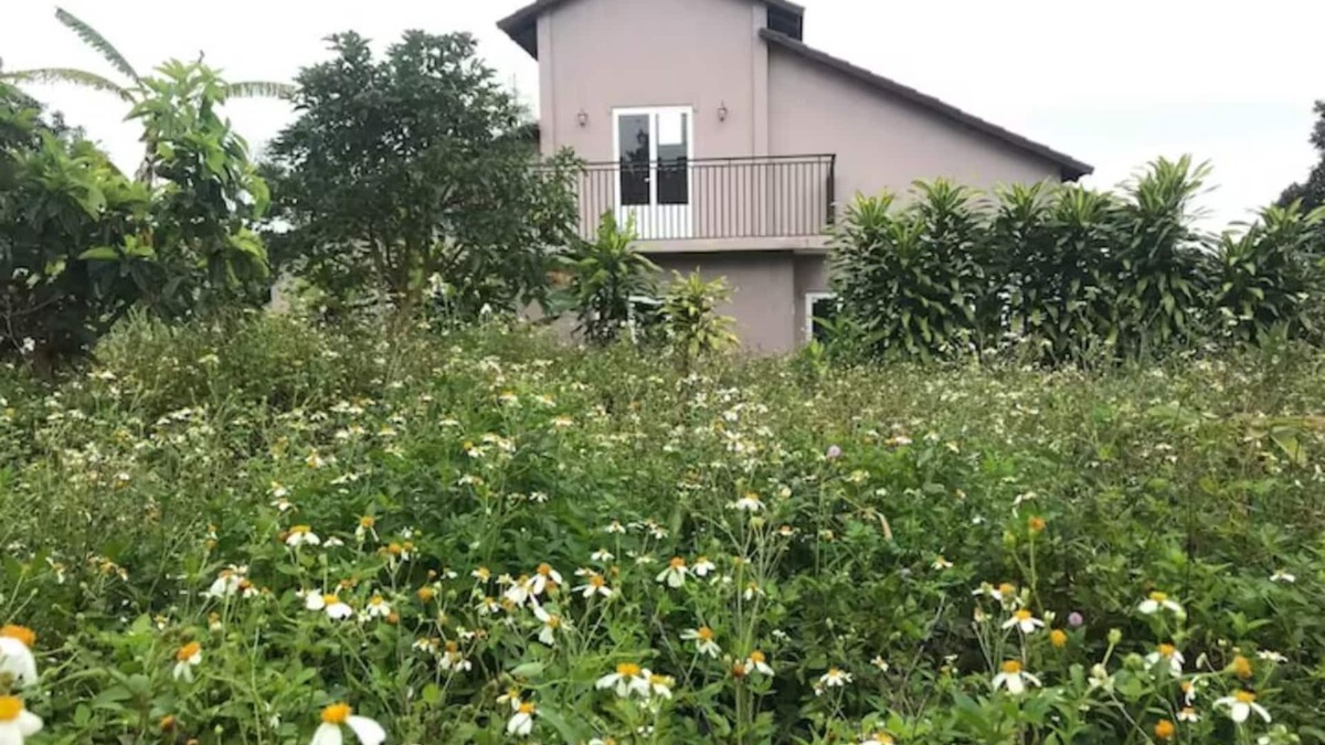 Bao Loc House | The Lavie' Homestay- on Mountain