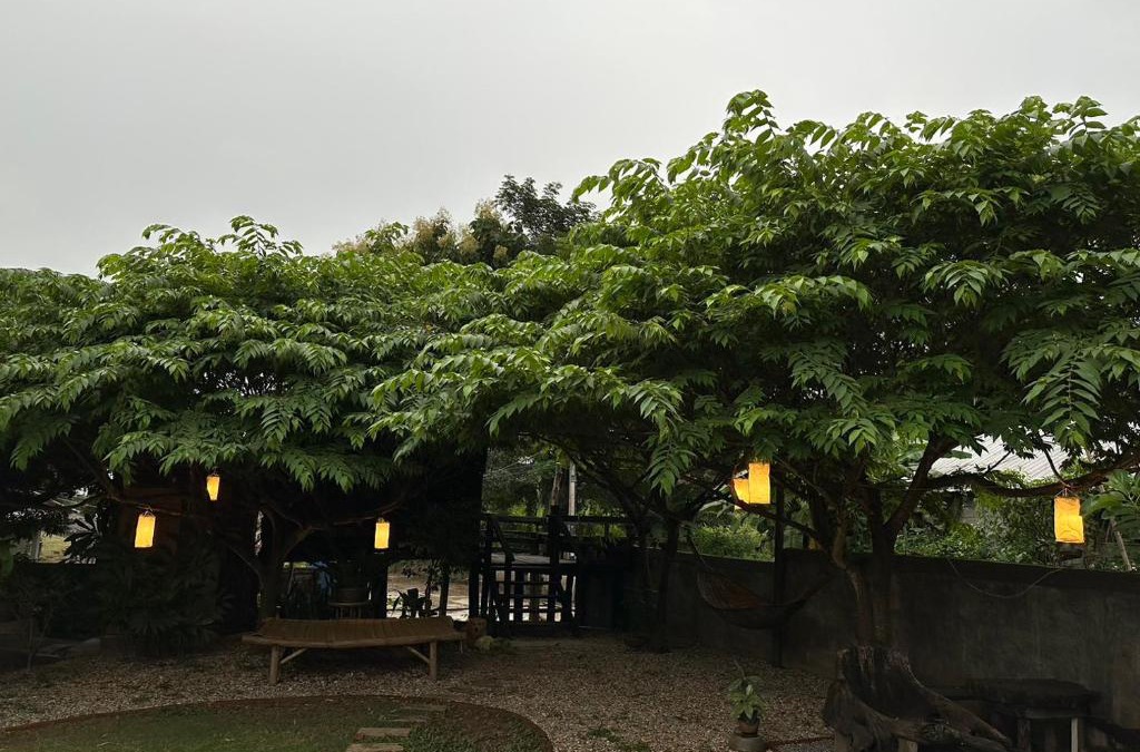 Mae Ai House | The Legend Homestay.