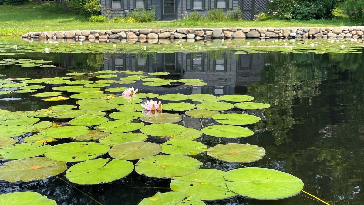 Winchester Cottage | The Little House. Historic 2-BR waterfront cottage in Winchester w/WiFi, AC