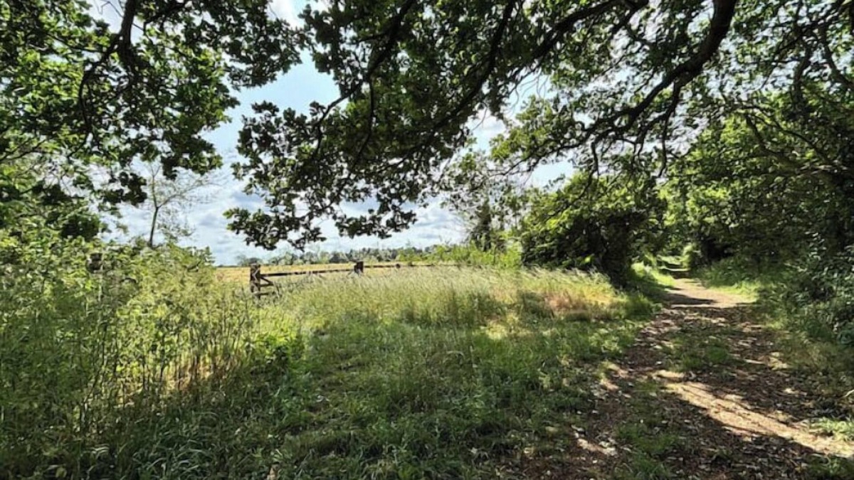 Martlesham Heath House | The lodge Sleeps 5 Away from it all self catering property in Newbourne,